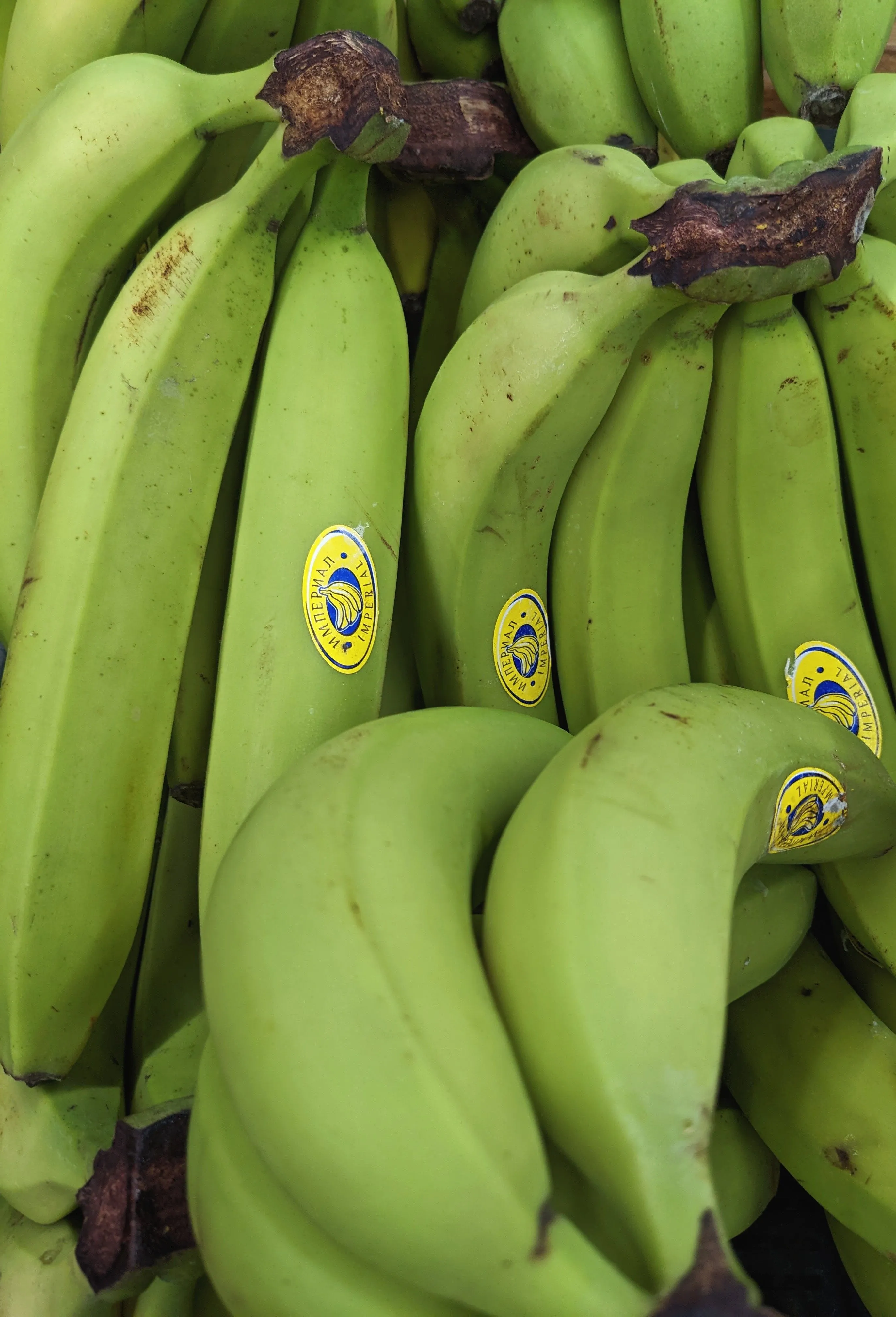 Green Plantain